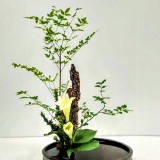 中国传统插花研习课程——金 单元