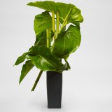 插花花艺作品选—八