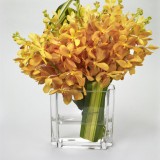 学员作品选登—二