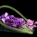 学员作品选登—四