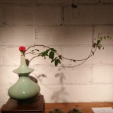 中国插花 五千年中国文化的名片