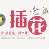 《七点说插花》第一讲《插花是一种文化》视频