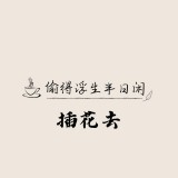 常用插花用枝材