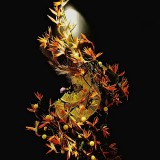 《百鸟朝凤》作者：郁泓