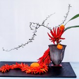 《城市》作者：郁泓