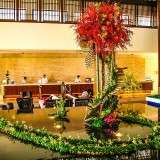 《九州生气》作者：郁泓