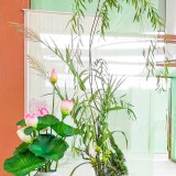 《双荷记》作者：郁泓