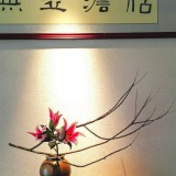 《恬淡》作者：郁泓