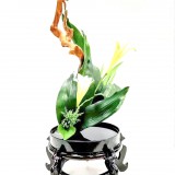 《战台风》作者：郁泓