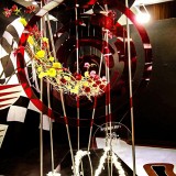 《开往春天的F1》作者：郁泓