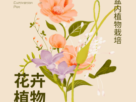 盆内植物栽培 初级课程