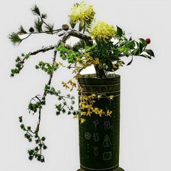 中国传统插花研习课程——火 单元