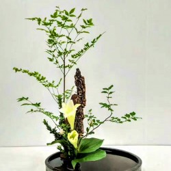 中国传统插花研习课程——金 单元