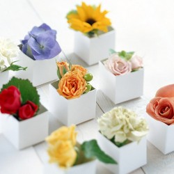 花艺软装设计课程