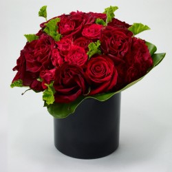 学员作品选登—一