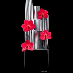 学员作品选登—五