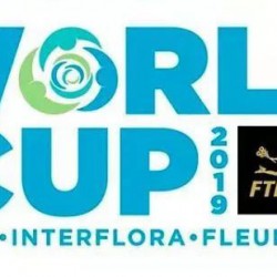 美国费城花艺世界杯花絮三