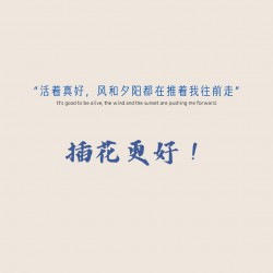 常用插花用果材