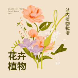 盆内植物栽培