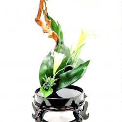 《战台风》作者：郁泓