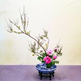 中国传统插花研习课程——木 单元